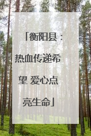 衡阳县：热血传递希望 爱心点亮生命