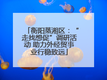 衡阳蒸湘区：“走找想促”调研活动 助力外经贸事业行稳致远