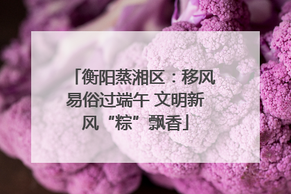 衡阳蒸湘区：移风易俗过端午 文明新风“粽”飘香