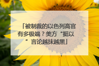 被制裁的以色列高官有多极端？美方“挺以”言论越抹越黑