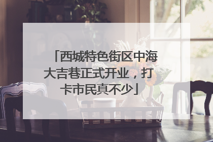 西城特色街区中海大吉巷正式开业，打卡市民真不少