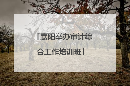 襄阳举办审计综合工作培训班