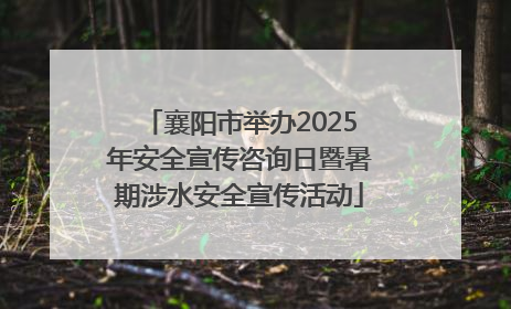 襄阳市举办2025年安全宣传咨询日暨暑期涉水安全宣传活动