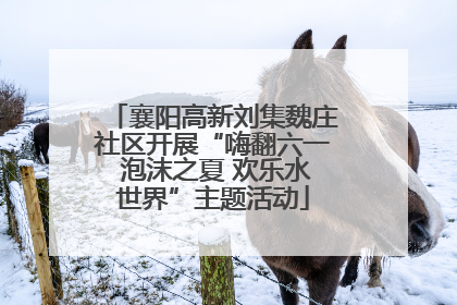 襄阳高新刘集魏庄社区开展“嗨翻六一 泡沫之夏 欢乐水世界”主题活动
