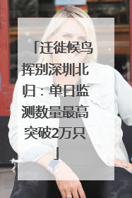 迁徙候鸟挥别深圳北归：单日监测数量最高突破2万只