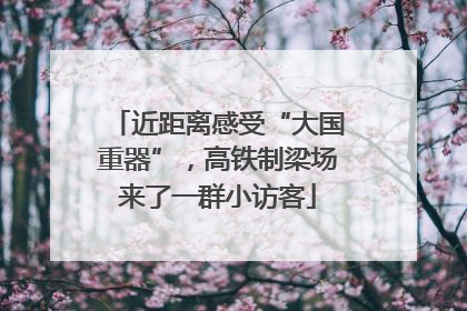 近距离感受“大国重器”，高铁制梁场来了一群小访客