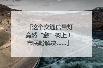 这个交通信号灯竟然“藏”树上！市民盼解决……