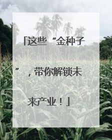 这些“金种子”，带你解锁未来产业！