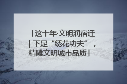 这十年·文明润宿迁｜下足“绣花功夫”，精雕文明城市品质