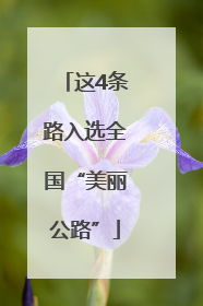 这4条路入选全国“美丽公路”