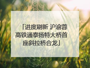 进度刷新 沪渝蓉高铁通泰扬特大桥首座斜拉桥合龙