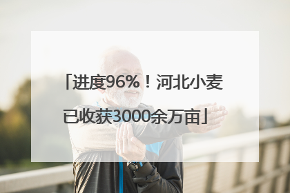 进度96%！河北小麦已收获3000余万亩