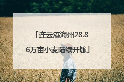 连云港海州28.86万亩小麦陆续开镰