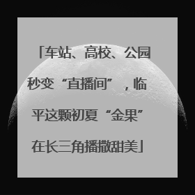车站、高校、公园秒变“直播间”，临平这颗初夏“金果”在长三角播撒甜美