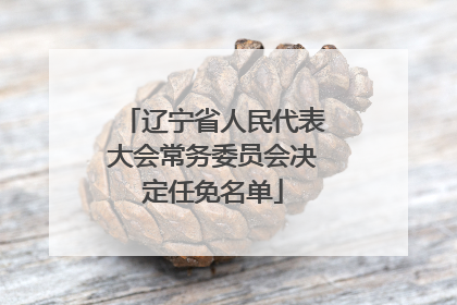 辽宁省人民代表大会常务委员会决定任免名单