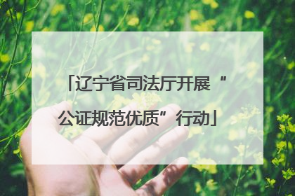 辽宁省司法厅开展“公证规范优质”行动
