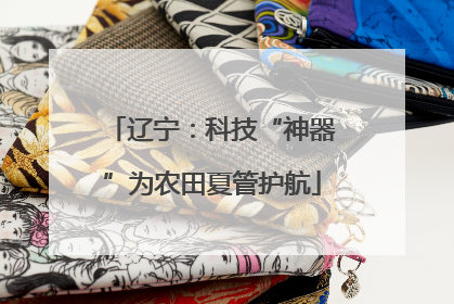 辽宁：科技“神器”为农田夏管护航