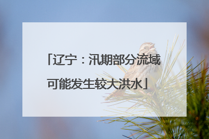 辽宁：汛期部分流域可能发生较大洪水