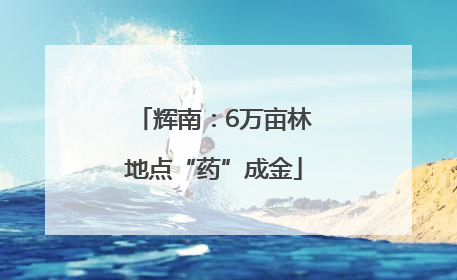 辉南：6万亩林地点“药”成金