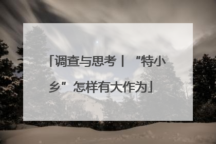 调查与思考丨“特小乡”怎样有大作为