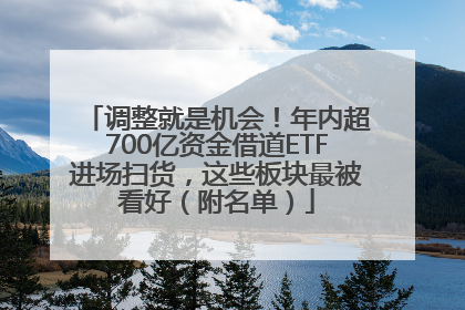 调整就是机会！年内超700亿资金借道ETF进场扫货，这些板块最被看好（附名单）