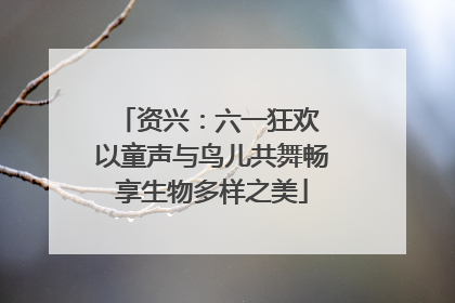 资兴：六一狂欢 以童声与鸟儿共舞畅享生物多样之美