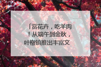 赏花卉，吃羊肉！从端午到金秋，叶榭镇推出丰富文旅活动邀您爽玩