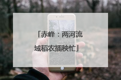 赤峰：两河流域稻农插秧忙