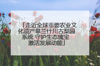 走近全球重要农业文化遗产皋兰什川古梨园系统 守护生态瑰宝 激活发展动能