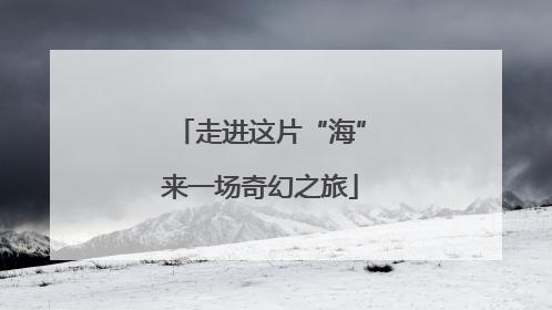 走进这片“海”来一场奇幻之旅