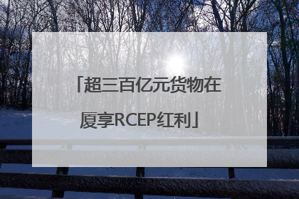 超三百亿元货物在厦享RCEP红利