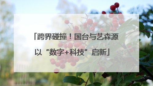 跨界碰撞！国台与艺森源以“数字+科技”启新