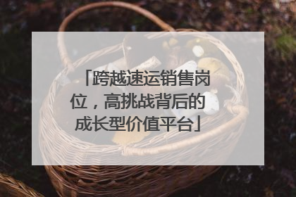 跨越速运销售岗位，高挑战背后的成长型价值平台