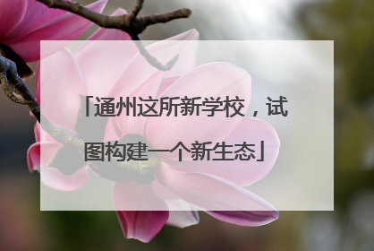 通州这所新学校，试图构建一个新生态
