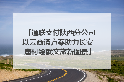 通联支付陕西分公司以云商通方案助力长安唐村绘就文旅新图景