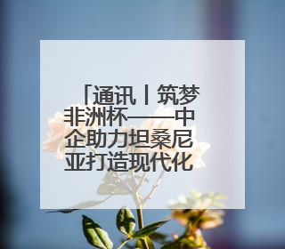 通讯丨筑梦非洲杯——中企助力坦桑尼亚打造现代化体育场