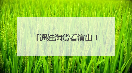遛娃淘货看演出！本周末这场国际化嘉年华别错过~