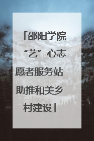 邵阳学院“艺”心志愿者服务站助推和美乡村建设