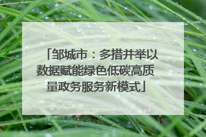 邹城市：多措并举以数据赋能绿色低碳高质量政务服务新模式