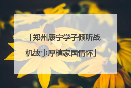郑州康宁学子倾听战机故事厚植家国情怀