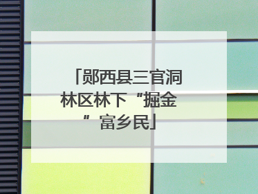郧西县三官洞林区林下“掘金”富乡民