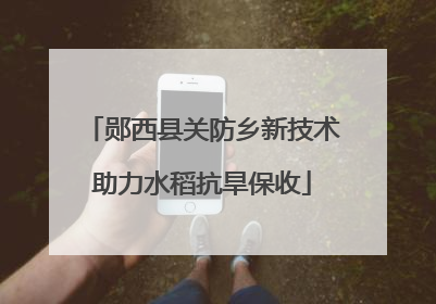 郧西县关防乡新技术助力水稻抗旱保收