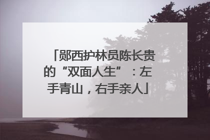 郧西护林员陈长贵的“双面人生”：左手青山，右手亲人