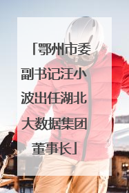 鄂州市委副书记汪小波出任湖北大数据集团董事长