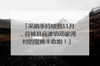 采摘季持续到11月，谷城县庙滩镇邓家湾村的蜜桃丰收啦！
