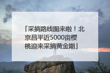 采摘路线图来啦！北京昌平近5000亩樱桃迎来采摘黄金期