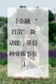 金融 “育苗” 新动能，莘县种业拔节长