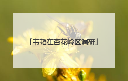 韦韬在杏花岭区调研