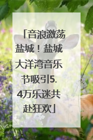 音浪激荡盐城！盐城大洋湾音乐节吸引5.4万乐迷共赴狂欢