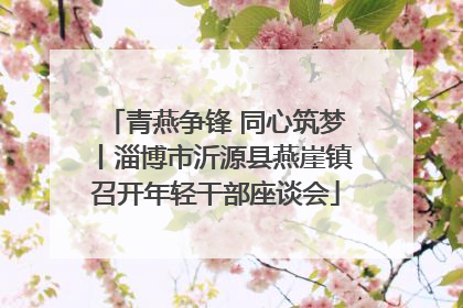 青燕争锋 同心筑梦丨淄博市沂源县燕崖镇召开年轻干部座谈会